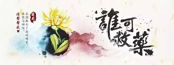 2016041115370