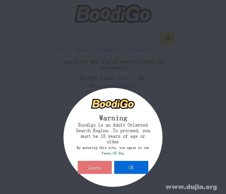 Boodigo 全世界第一个成人(好孩子)搜索引擎