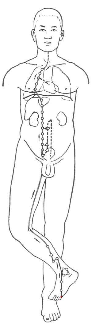 zushaoyinshenjing
