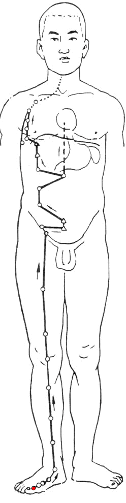 zutaiyinpijing