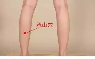 承山穴,祛湿理气止痛,舒筋活络,消痔。
