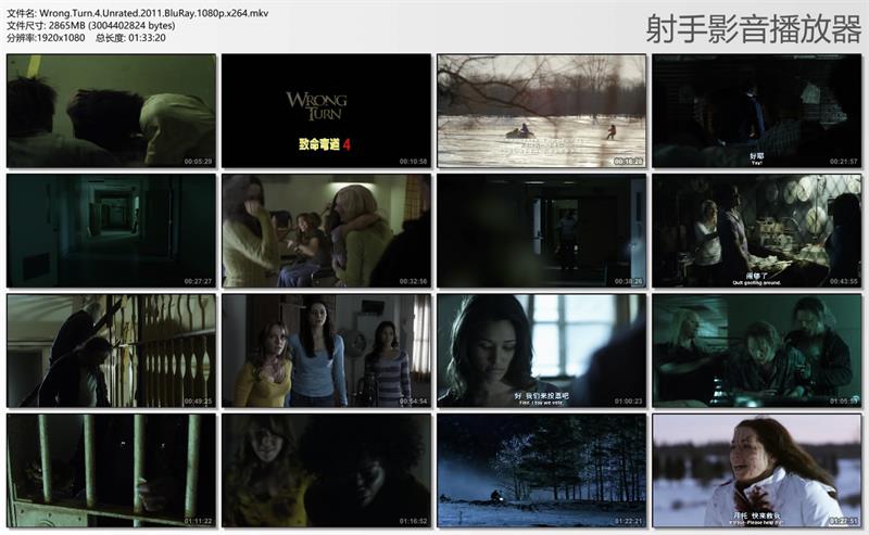 致命弯道4/鬼挡路4(未分级版) 致命弯道4/鬼挡路4(未分级版)